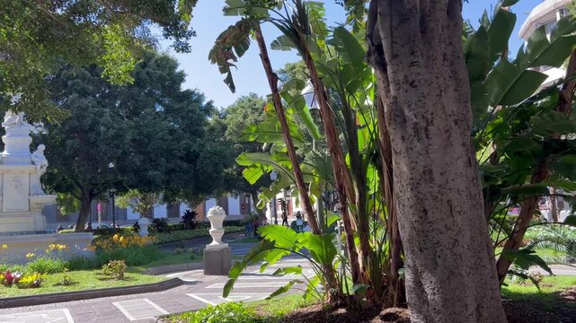 Plaza Weyler en la ciudad de Santa Cruz de Tenerife, islas Canarias, Espa&ntilde;a