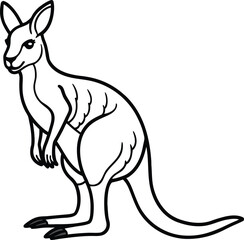 A detailed illustration of an antilopine kangaroo in a natural pose isolated on transparent background isolated on white background