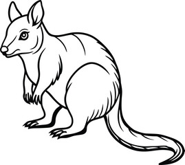 Brush tailed rock wallaby illustration isolated on transparent background for wildlife and australian themes isolated on white background