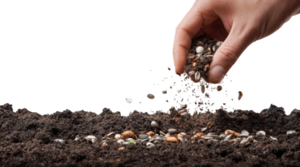 Brown hands holding a handful of dark soil with seeds for sowing a new plant and promoting growth