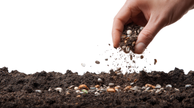 Brown hands holding a handful of dark soil with seeds for sowing a new plant and promoting growth