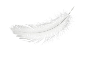Obraz premium White feather on black background transparent background cutout png