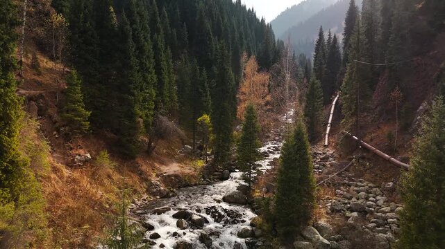 Aerial view panorama of yellow autumn forest in Almaty