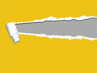 Blank paper sheet illustration with ripped, torn edges and grunge texture for a design or banner concept