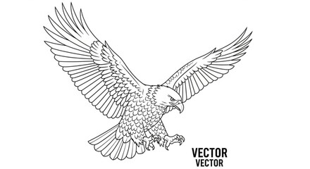 Obraz premium Majestic eagle soars with wings spread wide in a detailed black and white vector art
