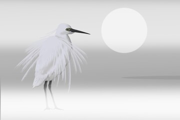 The little egret (Egretta garzetta) stands in the morning fog on a lake