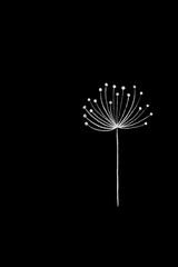 Abstract black and white background