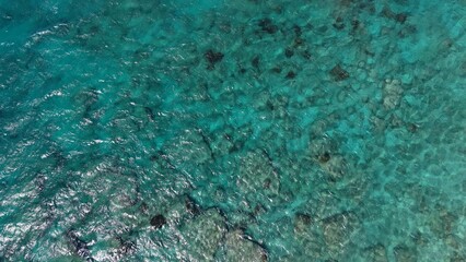 the coastline baja sur