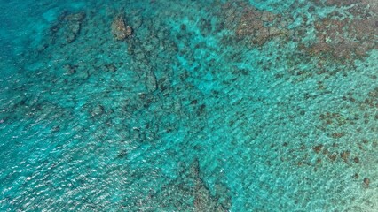 the coastline baja sur