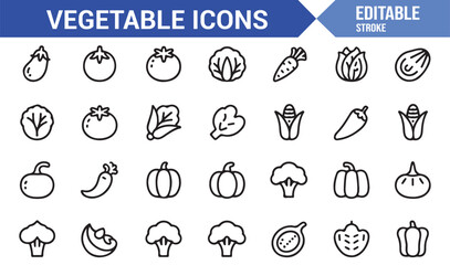 Healthy Food Icons — Vector Line Illustrations of Fresh Vegetables and Ingredients