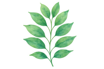 Obraz premium Green watercolor plant branch with fresh leaves, botanical illustration, showing nature and growth on transparent background