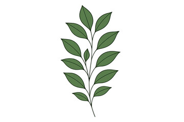 Obraz premium Botanical sprig illustration with green leaves and thin black outlines on a transparent background