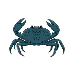 Blue Crab