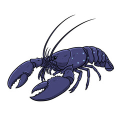 Blue Lobster