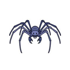 Sea Spider