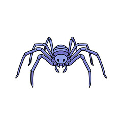 Sea Spider