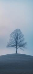 Lonely Winter Tree