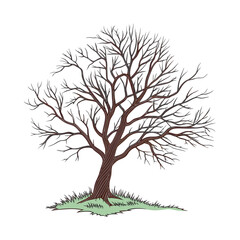 Obraz premium Bare winter tree illustration isolated simple nature branch trunk season environment landscape sketch art white background