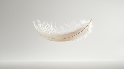 Obraz premium Soft white feather gracefully floating in mid-air against a plain background during bright daylight