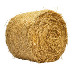 Close-up of a round straw bale showing detailed straw texture and spiral pattern on transparent png background. Ai generated