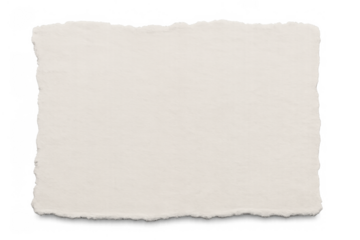 Torn blank piece of old paper with ripped edges, rustic parchment rectangle, transparent background included