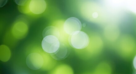 Obraz premium Bright green natural bokeh background filled with soft light and blurred shapes during a sunny day in the forest