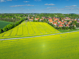 Pola rzepaku pod Krakowem, zdjęcie z powietrza (dron)