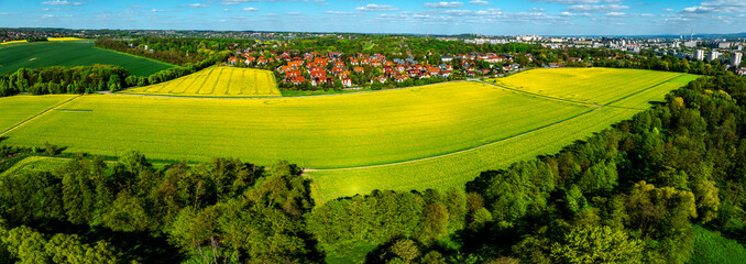 Pola rzepaku pod Krakowem, zdjęcie z powietrza (dron)