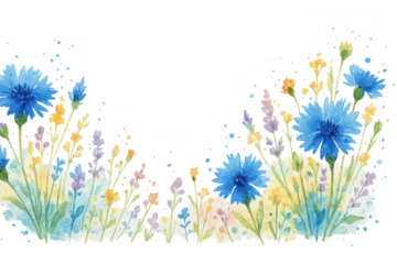 Watercolor cornflower border with wildflowers and lavender, artistic floral design with blue and yellow plants, transparent background