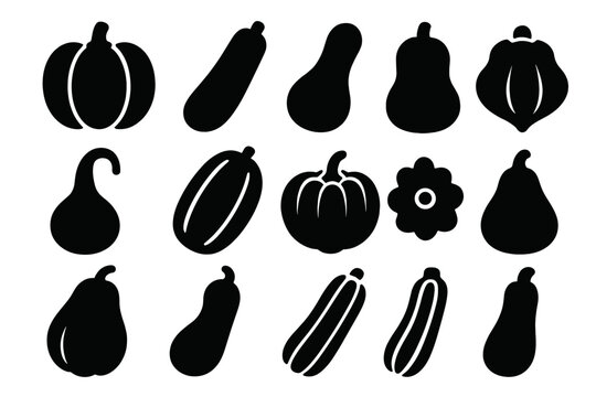 Squash Variety Icons. Solid style icons of Squash family: pumpkin, zucchini, butternut squash, acorn squash, gourd, spaghetti