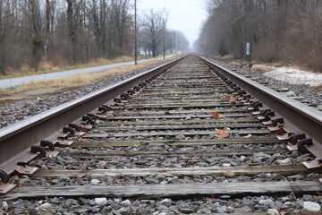 Straight Railroad Track Through Winter Trees