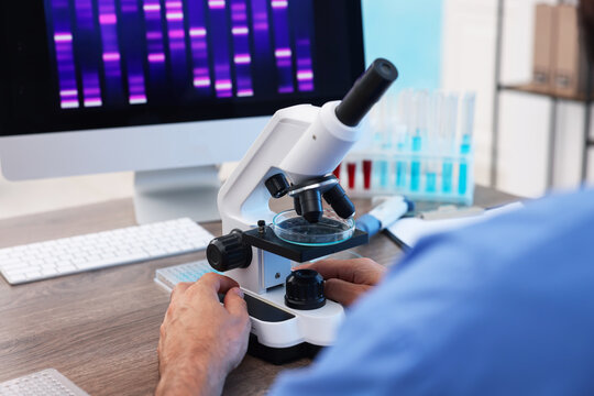 Research in genetics. Scientist working with microscope at table in laboratory, closeup - Powered by Adobe