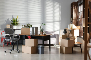 Many moving boxes, houseplants and furniture in new office