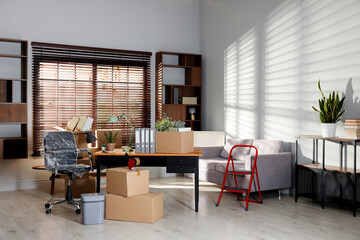 Many moving boxes, houseplants, ladder and furniture in new office