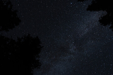 A mesmerizing view of the starlit night sky framed by silhouettes of trees.