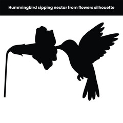 Hummingbird sipping nectar from flowers silhouette isolated over white background showing delicate flying bird and floral scene perfect for nature design wildlife illustration and vector artwork proje