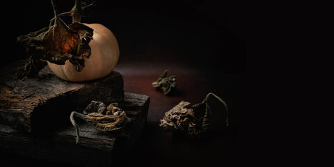 Beige pumpkin with dry vine and scattered leaves on rustic wooden surface in dark autumn setting
