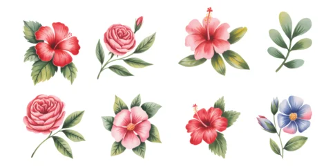 Fotobehang Tropische Bladeren Tropical hibiscus and pink rose watercolor collection. Watercolor hibiscus and rose bloom illustration.   © Artverza