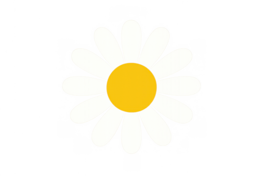Daisy flower vector illustration. Simple floral design element. White petals with yellow center on transparent background