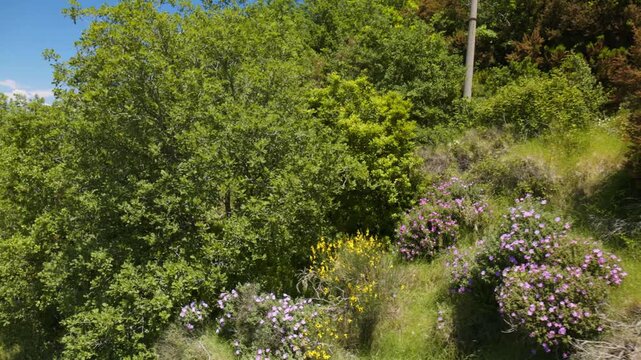 Wyspa Capri - włoska atrakcja turystyczna w Zatoce Neapolitańskiej