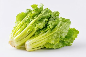 Fresh Celtuce: Organic Vegetable from the Farmers Market, Showcased on a White Background in a Horizontal Layout