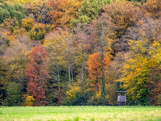 Obraz premium Hoch und Jägersitz im Herbst