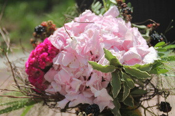 rosa Hortensie mit pinken Blümchen