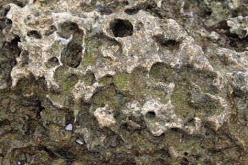 Dark brown rock texture with cracks.
