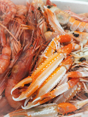 Red langoustine claws on a store counter