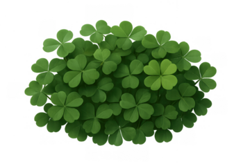 Green shamrock clover patch with one lucky four leaf clover on transparent background celebrating st. Patrick's day