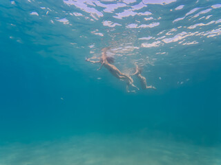 Obraz premium Underwater view of two people swimming in the vast, slightly murky blue Mediterranean Sea in Nice, France.