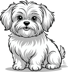 Cute cartoon a illustrator vector Maltese Dog