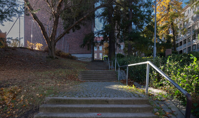 Stairs in the autumn park.
