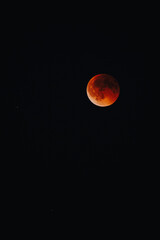 Blood Moon in the Night, 